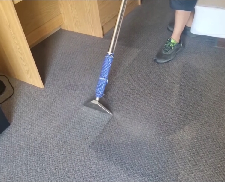 Carpet and Upholstery Cleaning service by Rose Pro Property Cleaning
