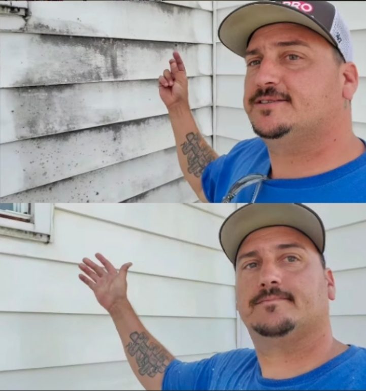 Siding Clean Before and After